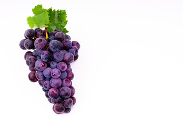 purple grapes with water drops on white background