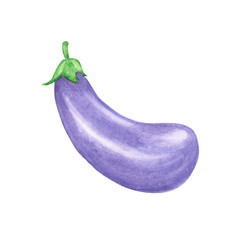Watercolor painted vegetables. Hand drawn fresh vegan food Eggplant design elements isolated on white background.