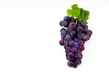 purple grapes with water drops on white background