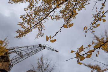 Harbour crane and cloudy sky