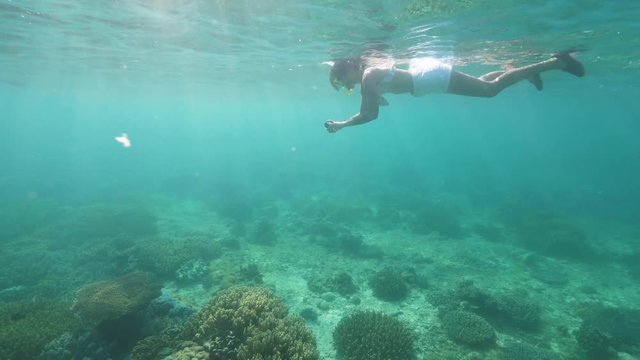 Young woman making photo while snorkeling with mask and tube underwater view. Girl snorkeling and photographing underwater world to waterproof mobile camera.