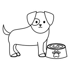 little dog adorable with dish water