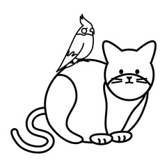 cute cat and bird mascots adorables characters