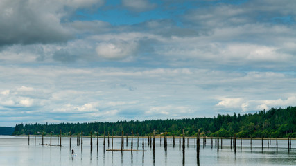 Paddle Board Puget Sound