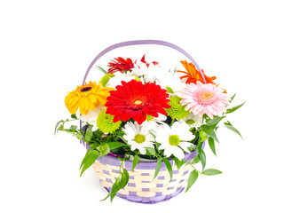 Basket with beautiful flowers isolated on white background