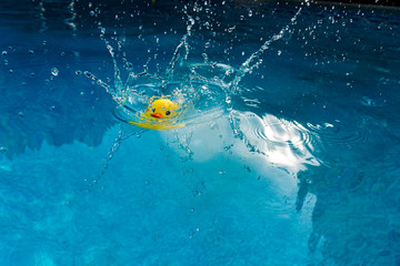 Yellow rubber ducky making a splash while plunging into an outdoor swimming pool