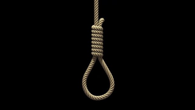 Hangman's noose, 3D animation. Rope for hanging falls from above, swings from side to side like pendulum and stops. Transparent background ProRes 4444 with alpha channel in 4k UHD resolution version.