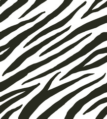 Vector seamless pattern of black and white zebra stripes print fur