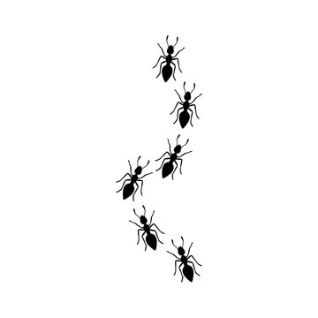line of black ants logo