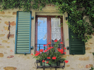 Fototapeta na wymiar the window with geraniums .