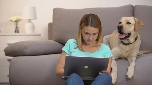 Happy labrador retriever female owner buying dog food online using laptop pc