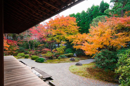 199 Best 泉涌寺 Images Stock Photos Vectors Adobe Stock