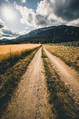 Fototapete bei efototapeten.de bestellen   