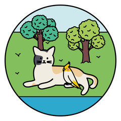 cute cat and bird mascots in the park