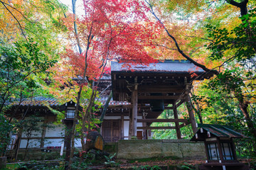 Fototapeta na wymiar 京都　長楽寺の鐘楼と紅葉