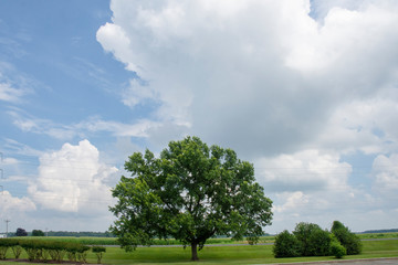 Enormous cloud formations dominate the landscape on a hot, humid, summer's day in rural Queen Anne's County, on the Eastern Shore of Maryland.