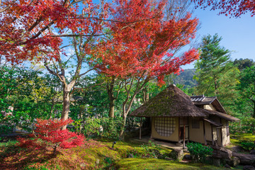 京都　高台寺の遺芳庵（いほうあん）と紅葉　