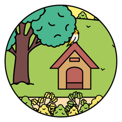 cute little bird on wooden house in the park