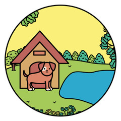 little dog adorable with wooden house in the park