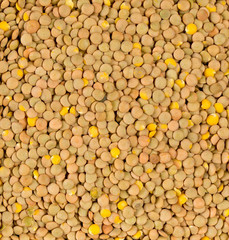 Raw, dry, uncooked brown lentil legumes frame filling texture background flat lay top view from above