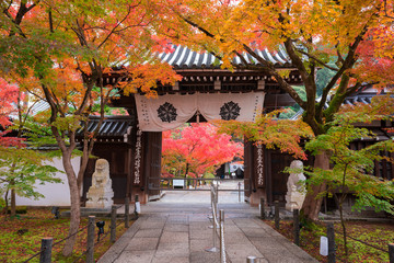 京都　永観堂の紅葉　