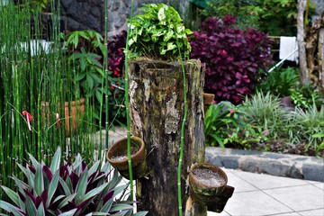 Garden Decorative tree stump in Philippines
