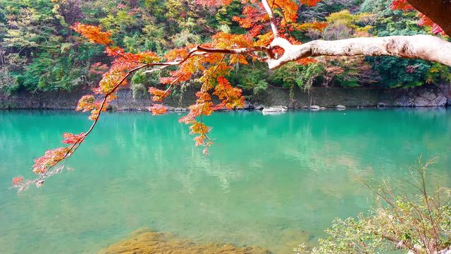 Boatman punting the boat at river. Arashiyama in autumn season