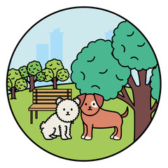 little dogs adorables mascots in the landscape