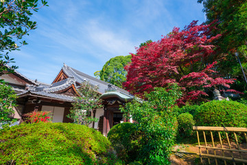 京都　栄摂院（えいしょういん）の紅葉　　