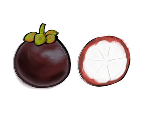 Colorful ink-style fruit, fruit close-up,Mangosteen