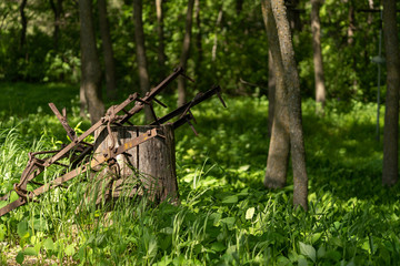 old rustic farm implement in trees