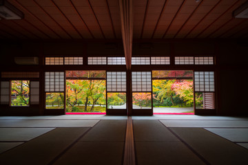 Fototapeta na wymiar 京都　圓光寺の紅葉　　