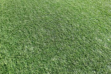 field of fresh green grass texture as a background, top view, horizontal