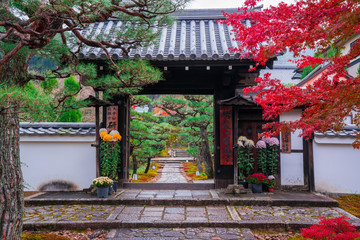 京都　圓光寺の紅葉　