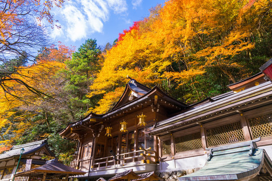 貴船神社 Photos Royalty Free Images Graphics Vectors Videos Adobe Stock 貴船神社 Photos Royalty Free Images Graphics Vectors Videos Adobe Stock