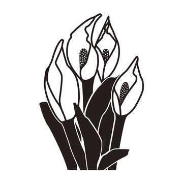 recommend clip art: 水芭蕉