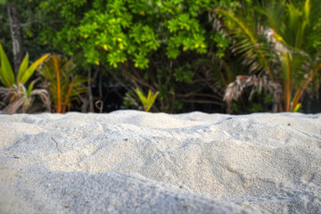 Dieses einzigartige Foto zeigt die unberührte Natur einer Insel auf den Malediven mit den Spuren von Krabben im Sand und im Hintergrund die grüne Vegetation
