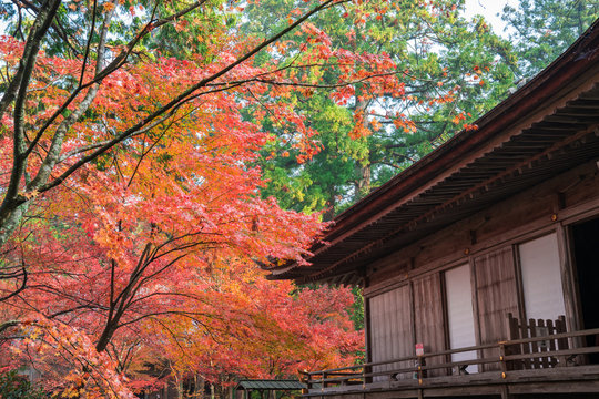 34 Best 京都大原三千院 Images Stock Photos Vectors Adobe Stock 34 Best 京都大原三千院 Images Stock Photos Vectors Adobe Stock