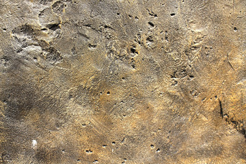 color texture of the stone. bright concrete wall background for your design