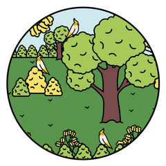 cute little birds adorable mascots in the park