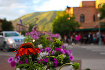 Fototapeta na wymiar Flower pots in European city in the mountains 