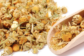 Dried chamomile on white background. Alternative medicine concept