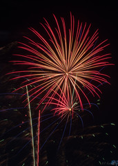 Obraz premium fireworks