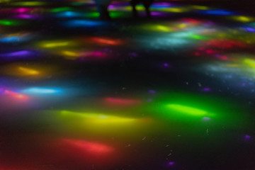 swimming digital fish