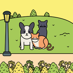 cute cats and dog mascots in the park