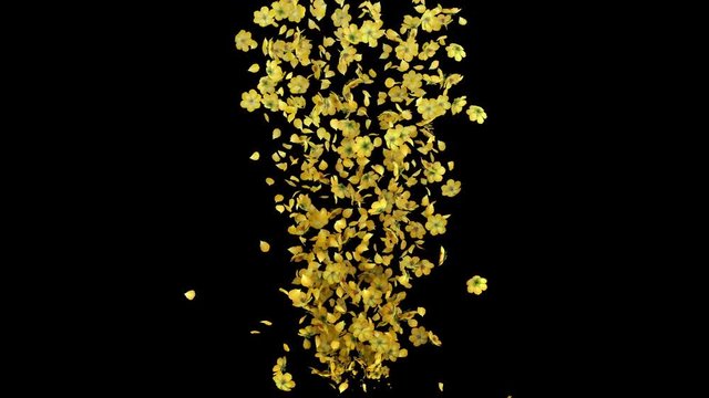 3D animation of a flower petals flow with alpha layer