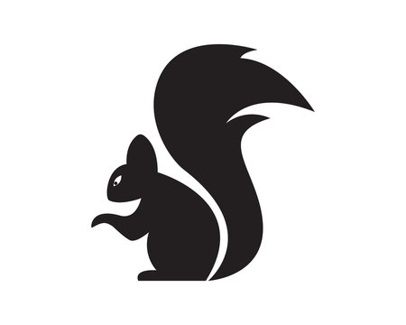 Squirrel logo template illustration