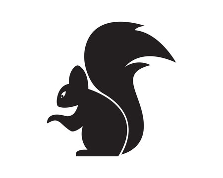 Squirrel logo template illustration