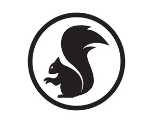 Squirrel logo template illustration