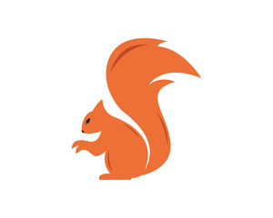 Squirrel logo template illustration